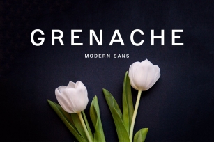 Grenache / Modern Sans Font Download