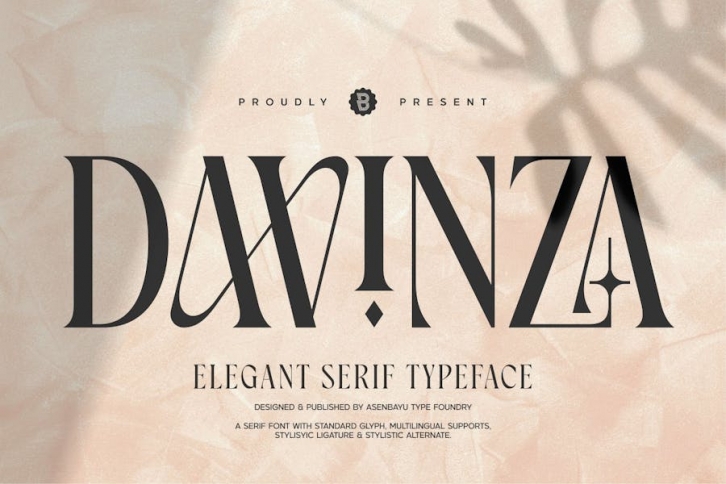 Davinza - Elegant Serif Font Font Download
