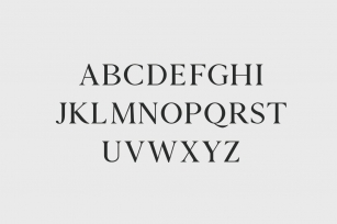 Zimra Serif Font Family Font Download