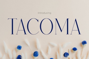 Tacoma - Elegance Modern Font Font Download