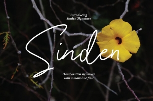 Sinden - Casual Handwritten Font Download