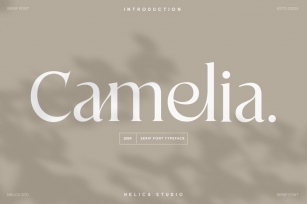 Camelia Modern Serif Font Font Download