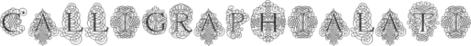 CalligraphiaLatina Soft Font Preview
