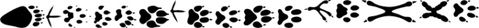 Make Tracks Font Preview