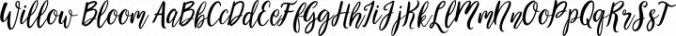 Willow Bloom Font Preview