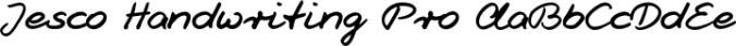 Jesco Handwriting Pro Font Preview