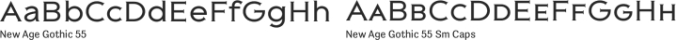 New Age Gothic Font Preview