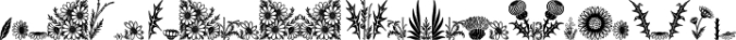 Thistle Borders Font Preview
