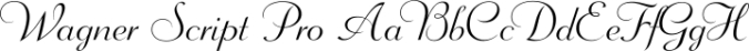 Wagner Script Pro Font Preview