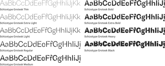 Schizotype Grotesk Font Preview