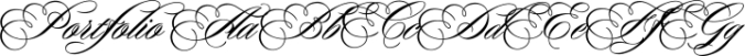 Portfolio Font Preview