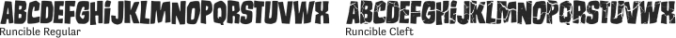 Runcible Font Preview