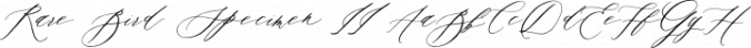 Rare Bird Specimen II Font Preview