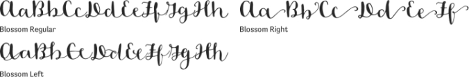 Blossom Font Preview