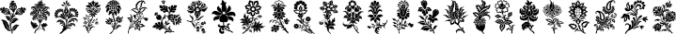 Fancy Flowers Font Preview