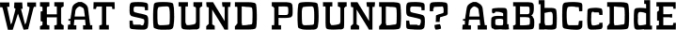 WHAT SOUND POUNDS? Font Preview