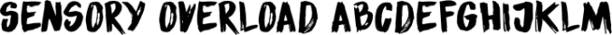 Sensory Overload Font Preview