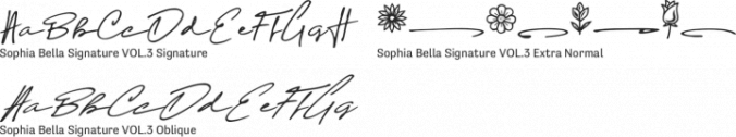 Sophia Bella Signature VOL.3 Font Preview