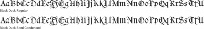 Black Duck Font Preview