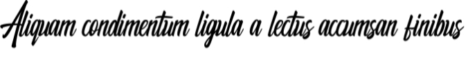Respection Font Preview