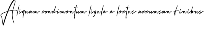 Sintya Font Preview