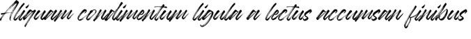 Baguette Font Preview