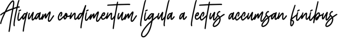 Whitehella Font Preview