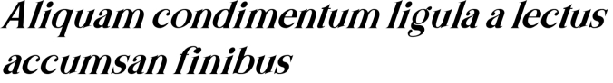 Basics Font Preview