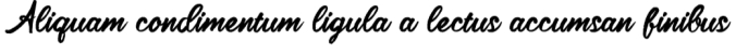 Brush Womens Font Preview