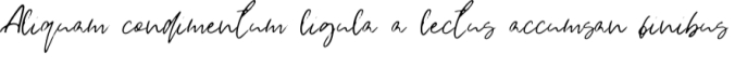 Skylar Rose Font Preview