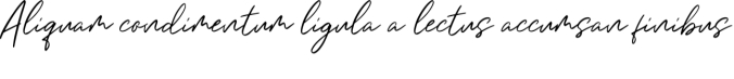 Boho baby Font Preview