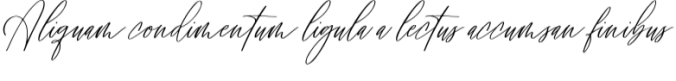 Signature Archive Font Preview