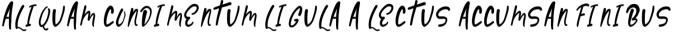 Bumble Font Preview