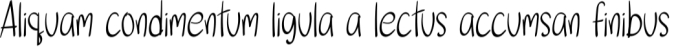 Selina Font Preview