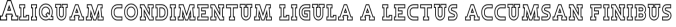 Go Team Font Preview