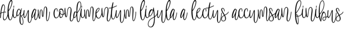Belly Font Preview