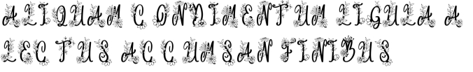 Angelina Monogram Font Preview