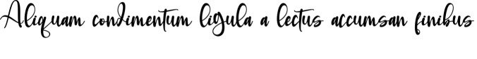 Aguellera Font Preview