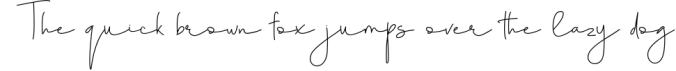 Heliconia Script Font Font Preview