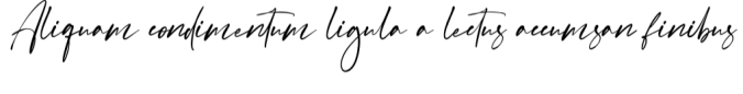 Luscious Lifestyle Duo Font Preview