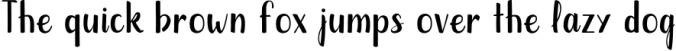 Austra Extended Brush Font Font Preview
