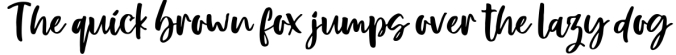 Rosemerry Script Font Preview