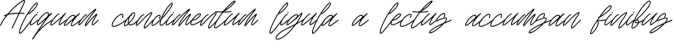 Rattini Signature Font Preview