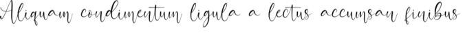 Attractive Font Preview