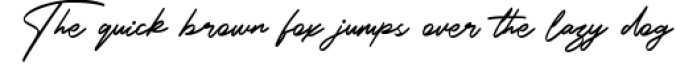 Betsy Layne - Handwritten Signature Handmade Font Font Preview
