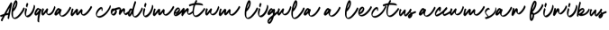 Balder Script Font Preview