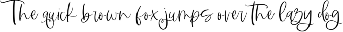 Midnight - Handwritten Script Font Font Preview