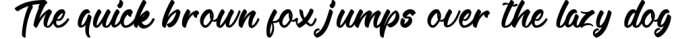 Legilature with BONUS Font Preview