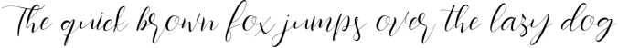 Southlove Script Font Font Preview