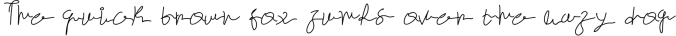 Mustaqeem - Handwritten Signature Font Font Preview